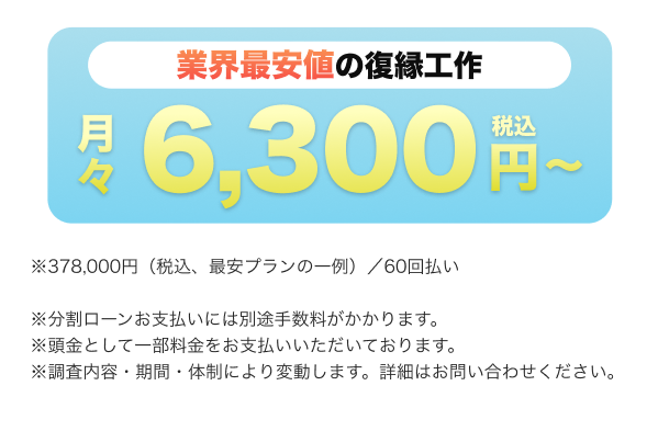 月々6,300円(税込)～